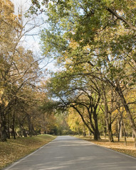 Obraz premium autumn day