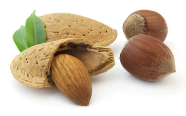 Almonds with hazelnuts