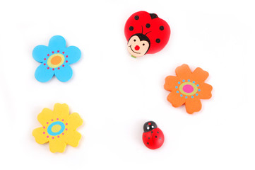 Fototapeta premium ladybird