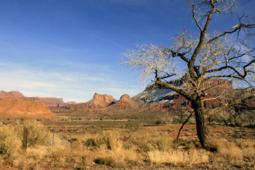 Fototapeta premium Ranch Country