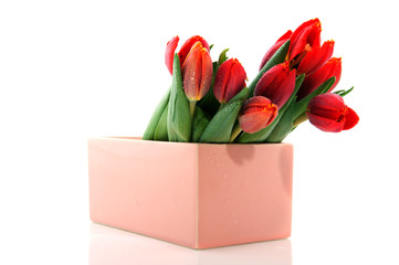 Red tulips in modern vase