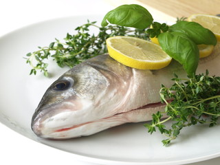 Fresh sea bass raw fish with herbs on a white plate