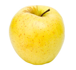 The beautiful apple on a white background