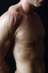 Fototapeta na wymiar muscular male torso on black background