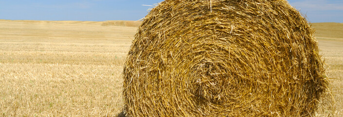 panoramic view of hay bale