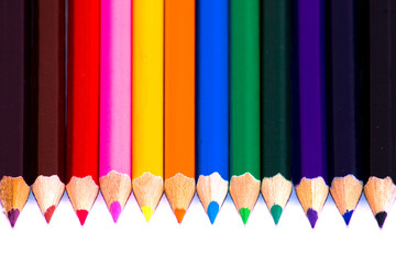 Buntsfite in Reih und Glied