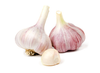 Garlic on a white background