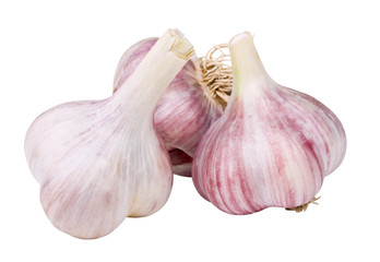 Garlic on a white background