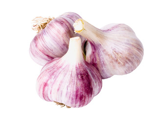 Obraz premium Garlic on a white background