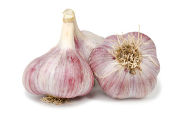 Garlic on a white background