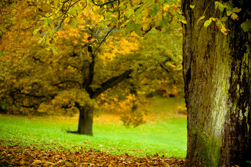 park in the fall