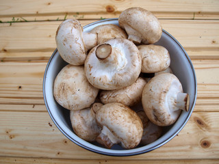 Mushrooms - agaricus