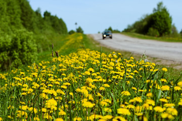 road and car on the horizon