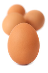 Brown Eggs