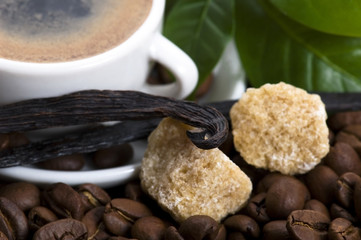 aroma coffee with vanilla and coffee branch