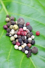 Pfeffer auf einem Blatt