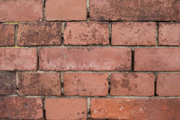 Obraz premium Background. Old brick wall