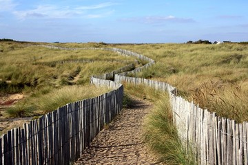 Promenade dans la nature