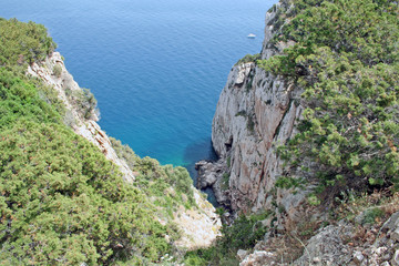 Kalkklippe Capo Caccia (Sardinien)