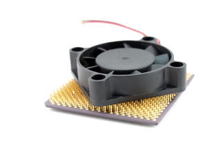 Microprocessor and fan