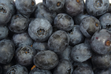 blueberries