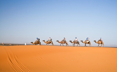 Fototapeta na wymiar Camel caravan going through the sand dunes in the Sahara Deser