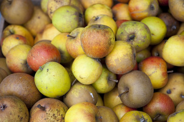 apples