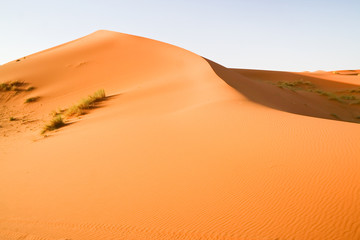 Moroccan desert dune