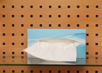 Kosmetikt&uuml;cherbox