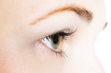 Obraz premium Human eye