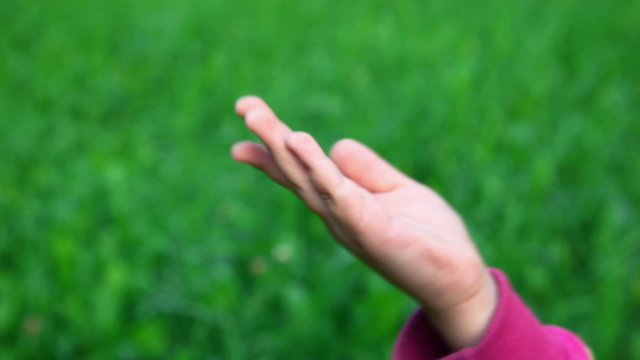 victory hand sign by little girl on green grass background