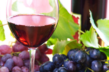 wine in glass.