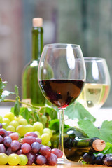 Fototapeta premium wine in glass