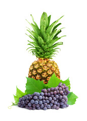 Fruits
