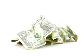 Some dollar bills over white background