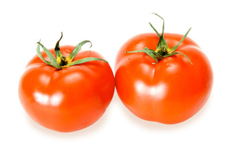 fresh tomatoes isolated on white