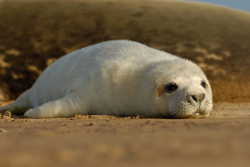 Its all just too hard