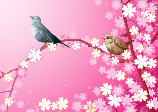 Cherry blossoms and Birds