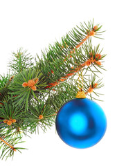 Christmas decoration-balls on fir branches.Isolated