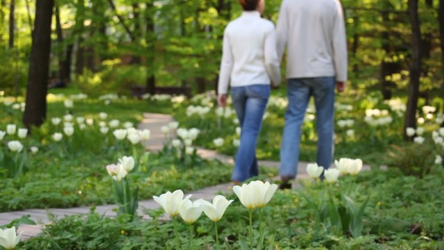Couple walks in the park amoung tulips