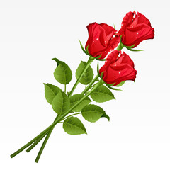 Three red roses on a white background - obrazy, fototapety, plakaty