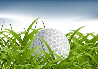 Illustrations 2010-0341