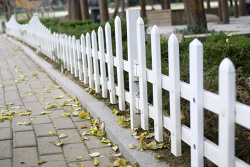 white fence of the garden in late autumn