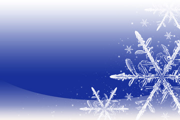 Fiocco di neve