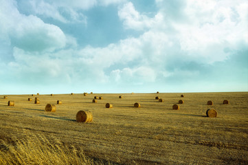 Fototapeta premium Straw