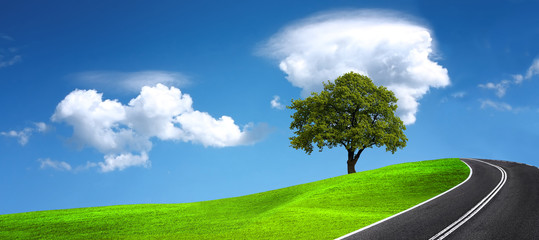 Empty road, panorama