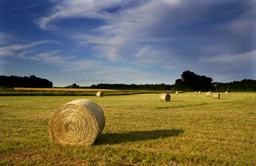 Hay bales