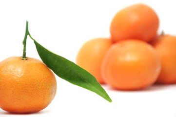 mandarina