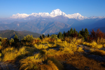 View from Poon Hill 3210m