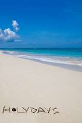 Fototapeta na wymiar Słowo na wakacje z gałęzi na piaszczystej plaży